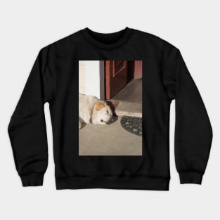 Asleep on the job Crewneck Sweatshirt